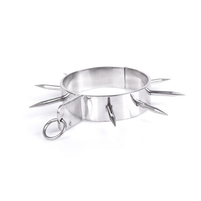 Spiked Collar