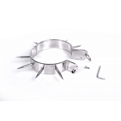 Spiked Collar