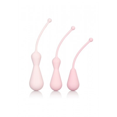Inspire Weighted Kegel Training Kit