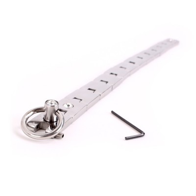 Watch band Collar with Jewel