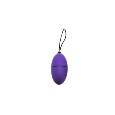 Remote Control Egg G2 - Purple
